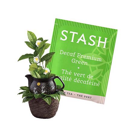 Stash Decaf Premium Green Tea Bags 30ct